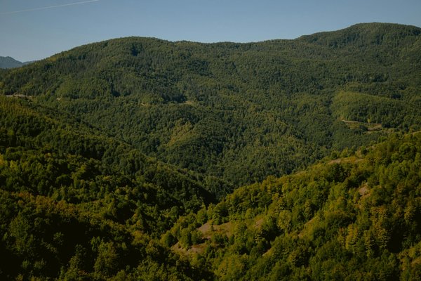 Recettes sucrées : 10 idées pour rehausser vos plats